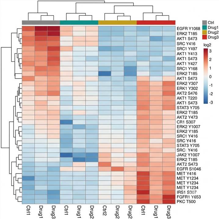 Advancements in Protein Methylation Research